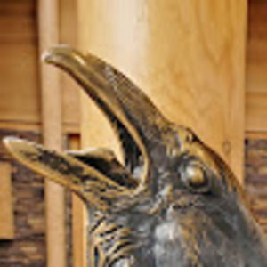 Meet your Posher, Casey